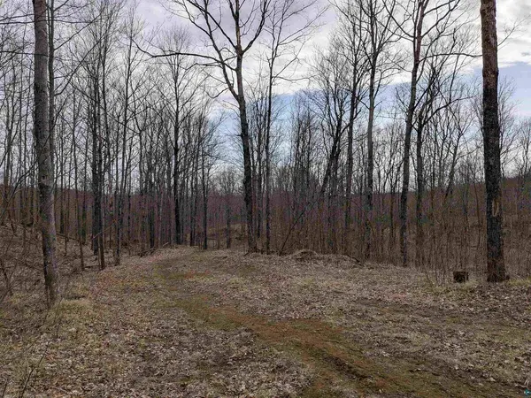 Lot 2 Vahtera Heights Dr, Mellen, WI 54546