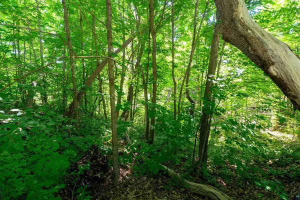 0.33 Acres on S 4th St, Bayfield, WI 54814