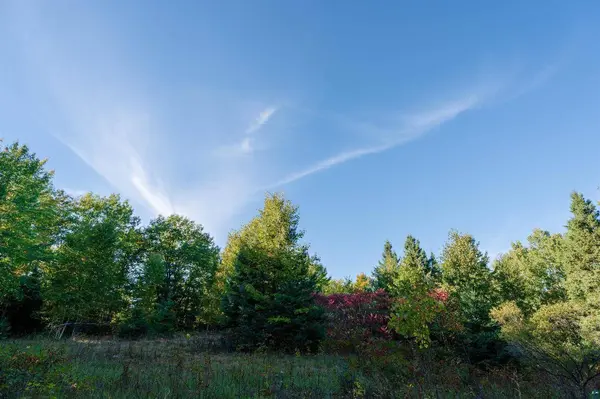 10 Acres on E White Birch Rd