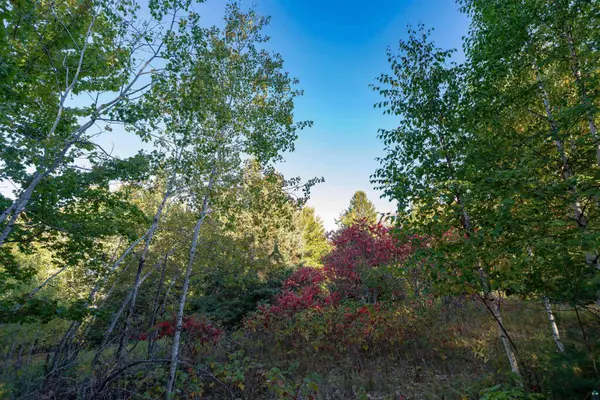 10 Acres on E White Birch Rd, Port Wing, WI 54865