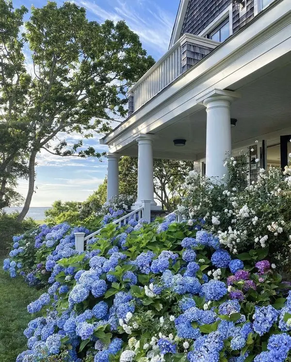feature image of Why Clarity Matters More Than Perfect Timing in Real Estate