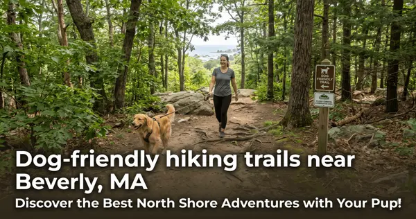 feature image of The Best Dog-Friendly Hiking Trails Near Beverly, MA