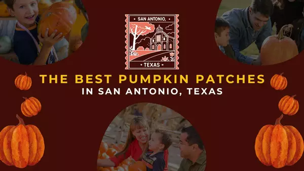The Best Pumpkin Patches in San Antonio, Texas