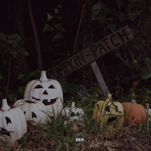 feature image of Fall in Cincinnati 2026: Pumpkin Patches, Festivals & Halloween Pop-Up Bars