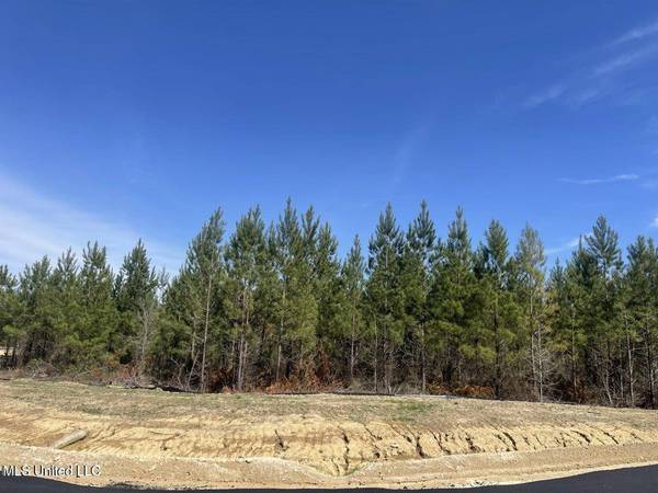 902 Old Glory Lane, Brandon, MS 39047