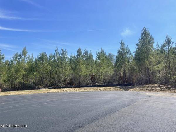 903 Old Glory Lane, Brandon, MS 39047