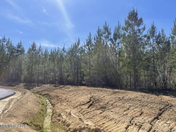 903 Old Glory Lane, Brandon, MS 39047