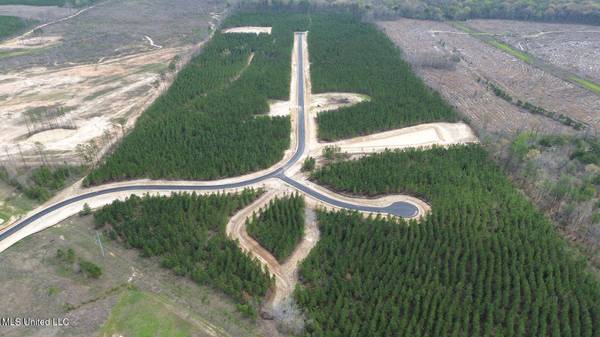 902 Old Glory Lane, Brandon, MS 39047