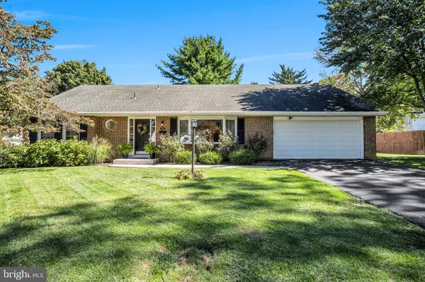 503 ELLEN RD