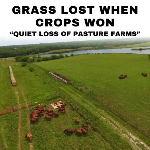 feature image of Grass Lost When Crops Won