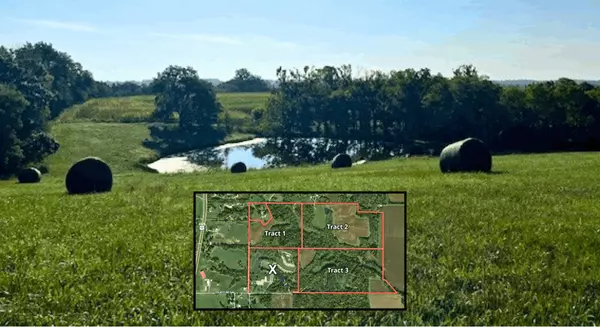 Dennis 11x6 Postcards (8)