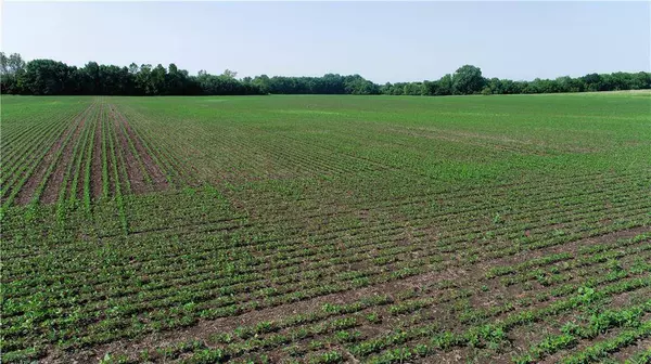 T HWY, Pattonsburg, MO 64670