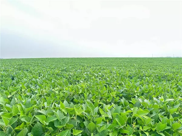 Tract 2 Holt 105 RD, Craig, MO 64437