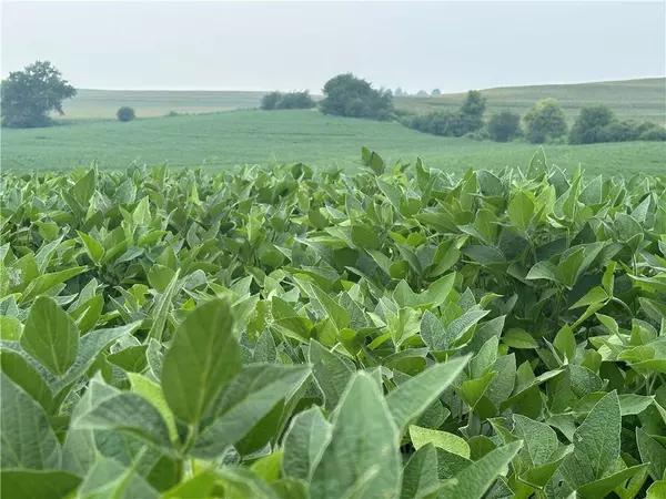 Tract 3 Camelot RD, Craig, MO 64437