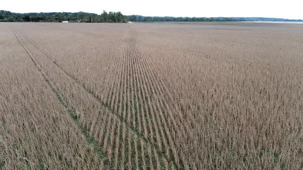 County Road 412 RD, De Witt, MO 64639