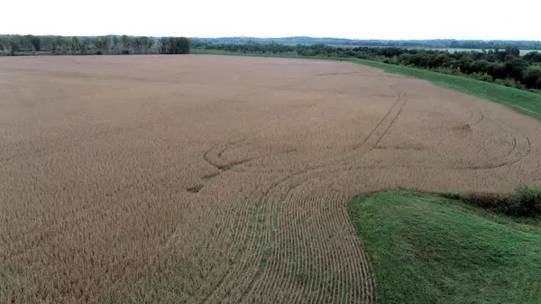 County Road 412 RD, De Witt, MO 64639