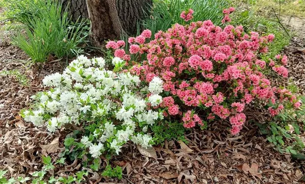 2604 HICKORY VALLEY DR, Snellville, GA 30078