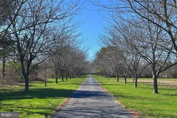 18605 PETTYJOHN RD, Georgetown, DE 19947