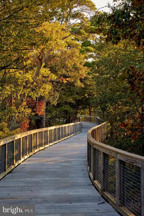 239 CLARA LANE, Lewes, DE 19958