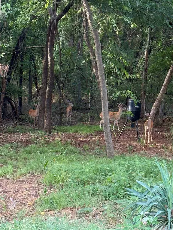 2224 Sleepy Lagoon, Flower Mound, TX 75022