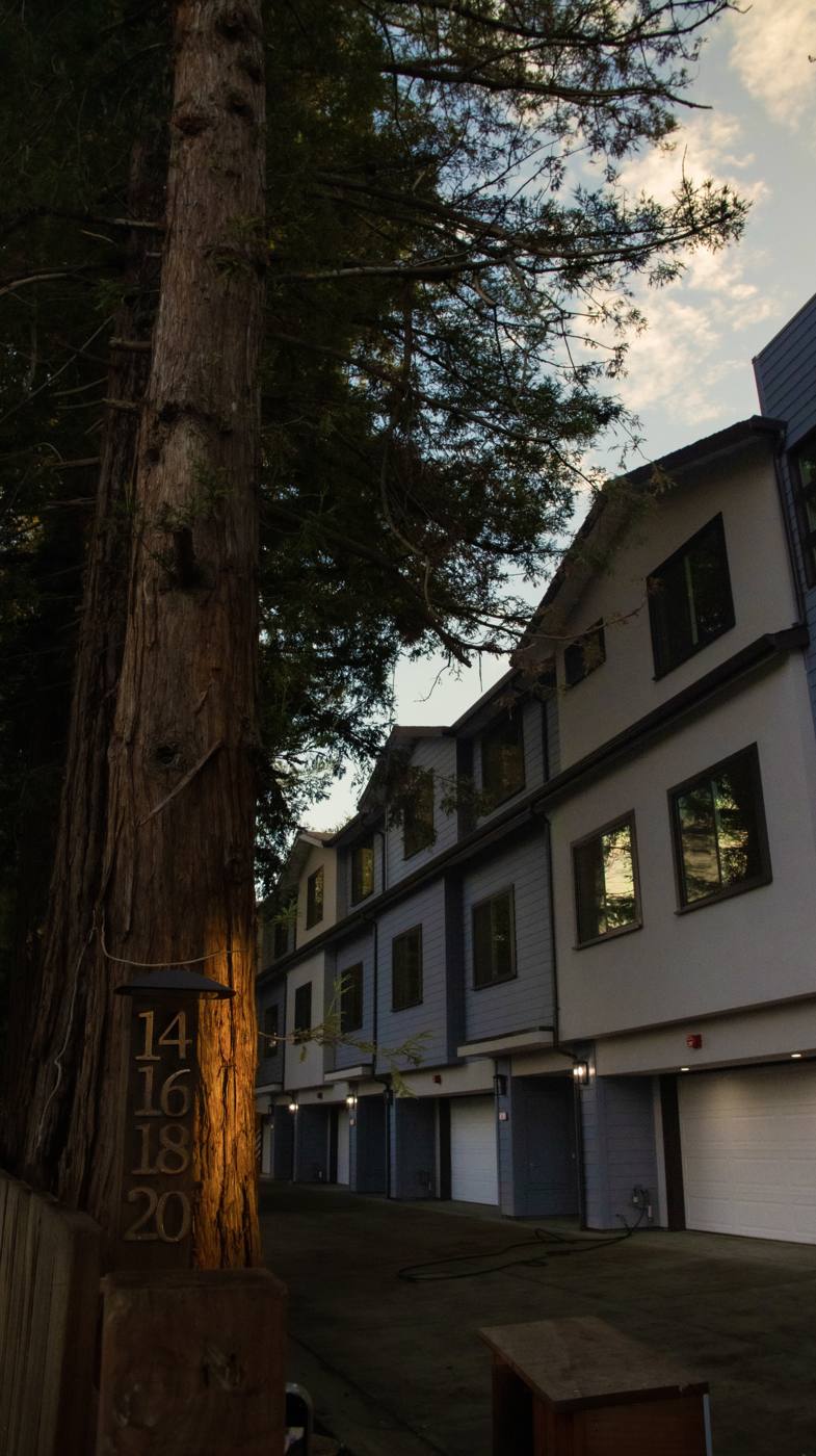 Redwood Row at dusk under the redwoods, 14 to 20 Dexter