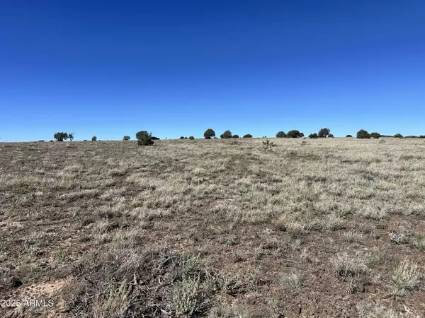 0 Dozer -- #-, Ash Fork, AZ 86320
