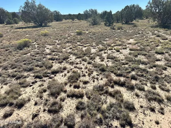 1381 W ISABELLA Lane #-, Ash Fork, AZ 86320