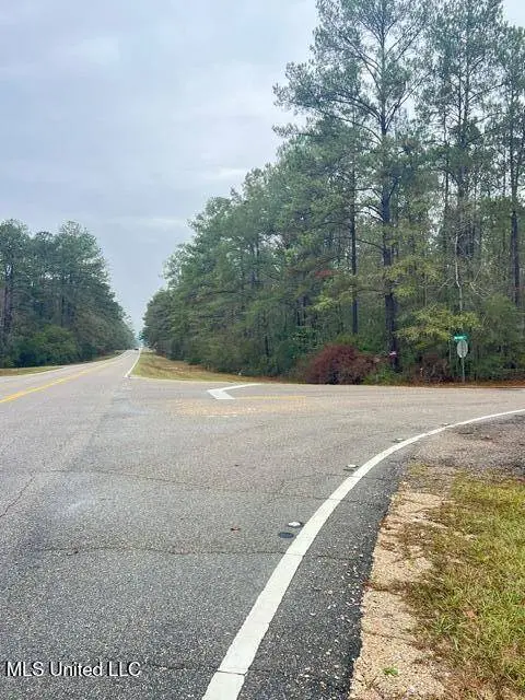 Deep Creek Road, Wiggins, MS 39577