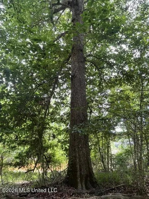 24 Highway 57, Perkinston, MS 39573