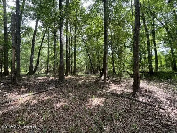 24 Highway 57, Perkinston, MS 39573