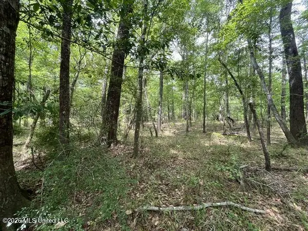 24 Highway 57, Perkinston, MS 39573