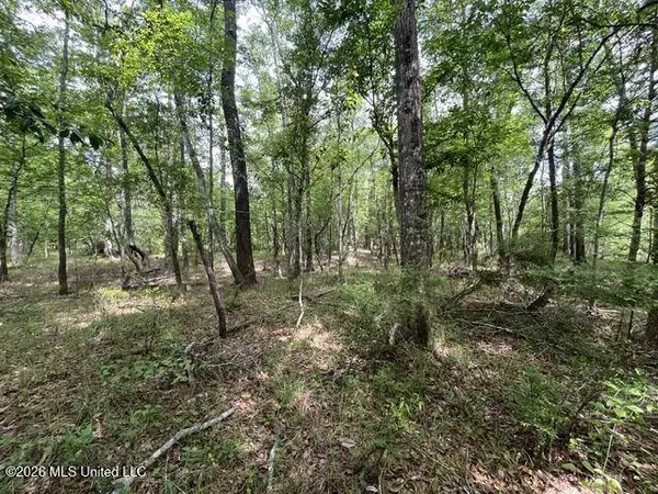 24 Highway 57, Perkinston, MS 39573