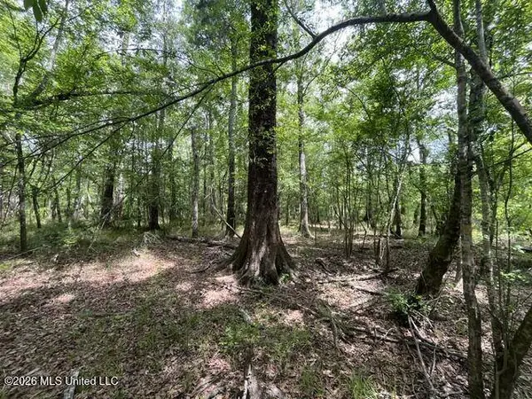 24 Highway 57, Perkinston, MS 39573