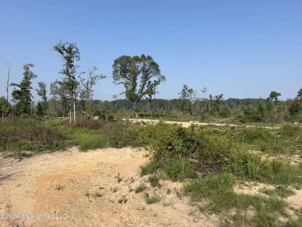 80 Off Of Farmer Drive, Richton, MS 39476