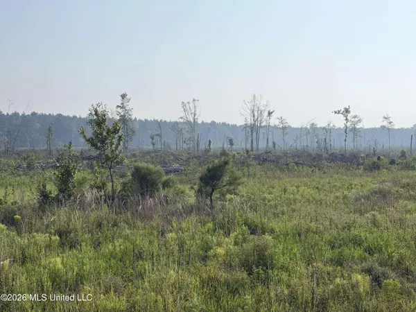 80 Off Of Farmer Drive, Richton, MS 39476
