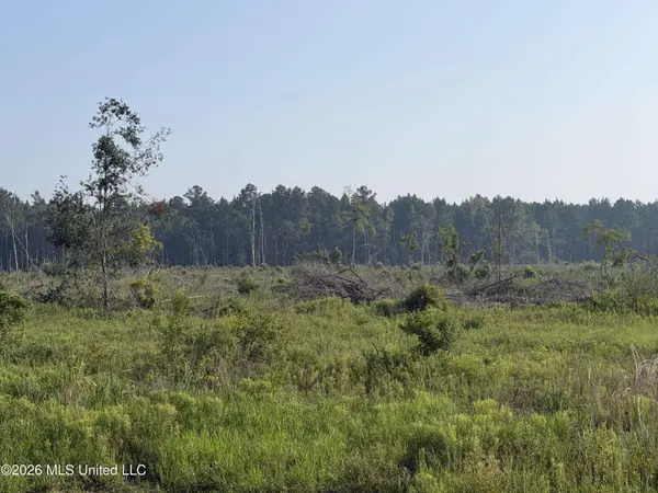 80 Off Of Farmer Drive, Richton, MS 39476