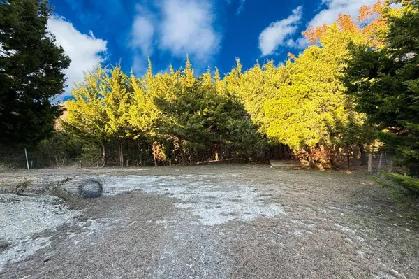 Lot 23A CR-919, Nevada, TX 75173