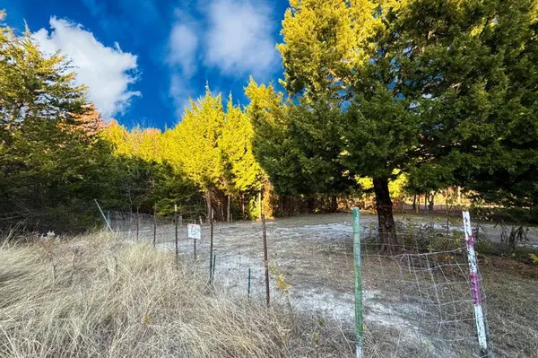 Lot 23A CR-919, Nevada, TX 75173