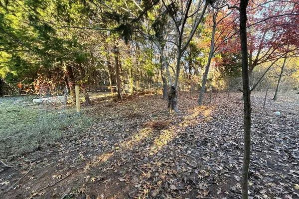 Lot 23A CR-919, Nevada, TX 75173