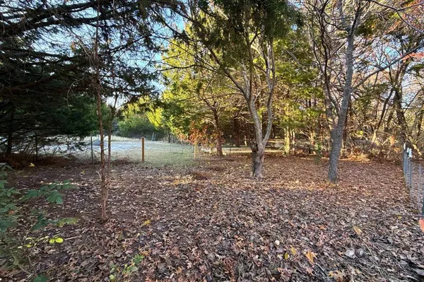 Lot 23A CR-919, Nevada, TX 75173