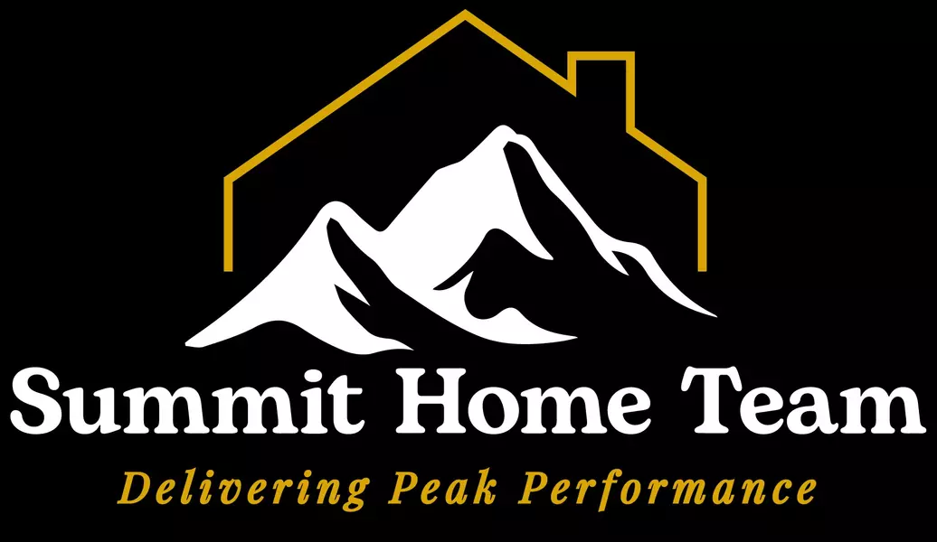 Summit Logo 2