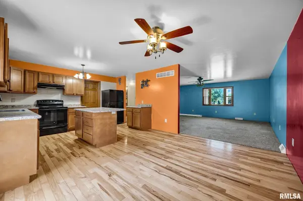 118 S LOCUST ST, Williamsfield, IL 61489