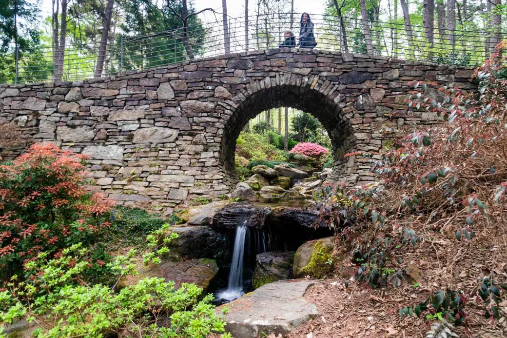 Hidden Gems Around Hot Springs Only Locals Know About