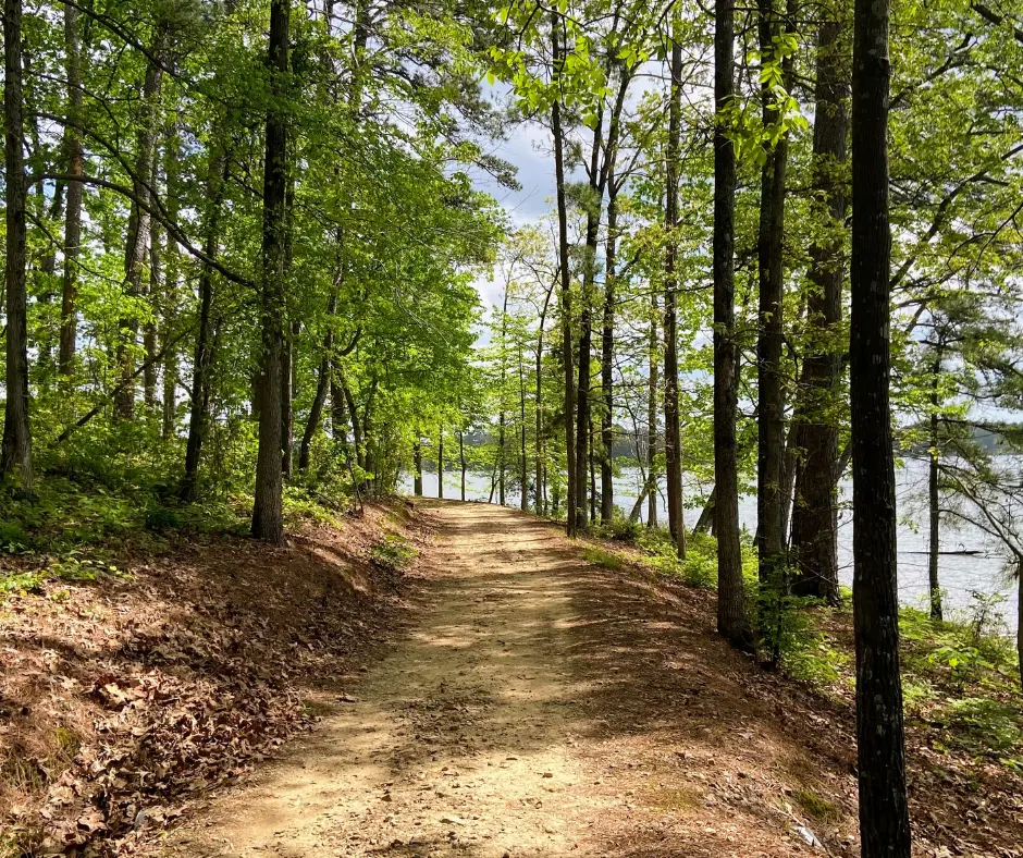5 Reasons Lago Vista Is the Perfect Quiet Luxury Getaway in Hot Springs Village, Arkansas