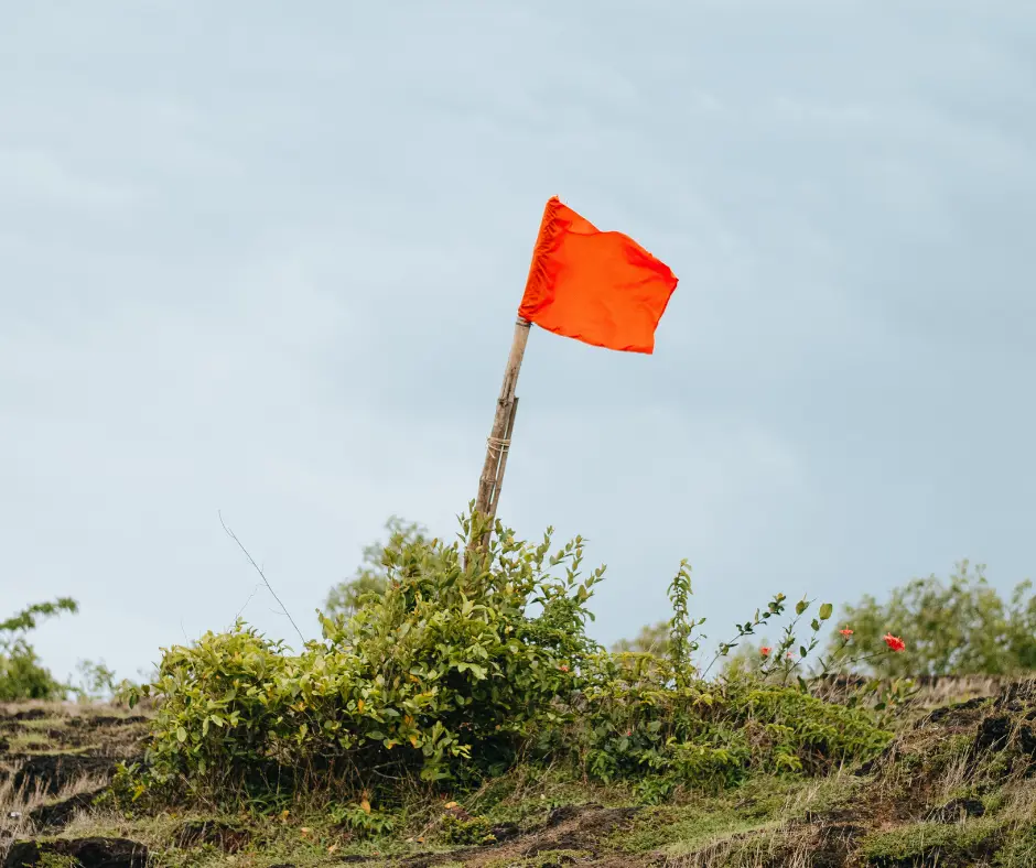 How Jaime Cantu Helps Buyers See Red Flags Before It's Too Late