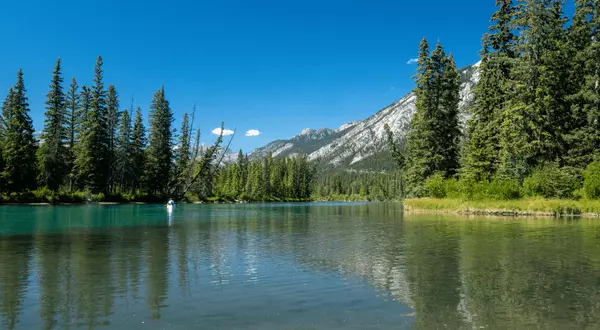 Why Lago Vista in Hot Springs Village Is Arkansas’s Hidden Gem for Relaxation & Recreation