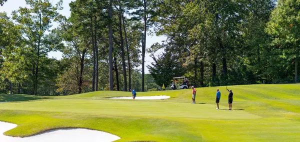 Top 10 Things to Do in Hot Springs Village Near Lago Vista Vacation Home