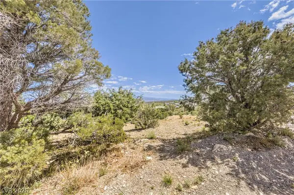 133 Wind Drift, Cold Creek, NV 89124