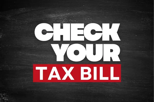 Property Tax Season in Louisiana: What You Need to Know,Alyson Finch