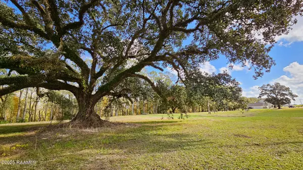 Tbd Main HWY #8-A, Arnaudville, LA 70512